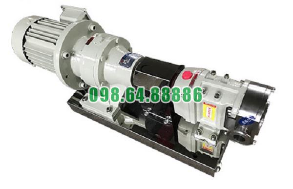 Máy bơm lobe 3RP-20 đường kính kết nối 38 mm